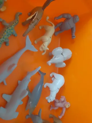 Colección animales articulados