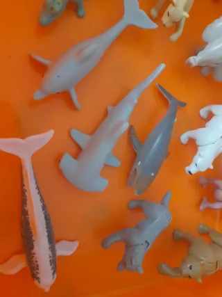 Colección animales articulados