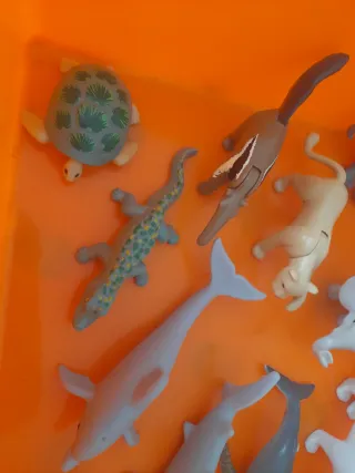 Colección animales articulados