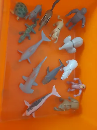 Colección animales articulados