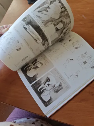 Jane, el zorro & yo / Jane, the Fox and Me (Spa...