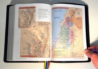 Santa Biblia NTV Ed. Legado piel de becerro