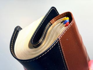 Santa Biblia NTV Ed. Legado piel de becerro