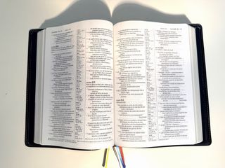 Santa Biblia NTV Ed. Legado piel de becerro