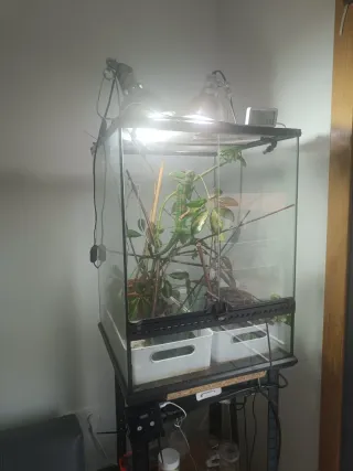 Terrario con riego y control de temperatura