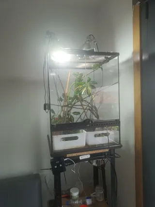 Terrario con riego y control de temperatura