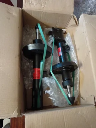 Amortiguadores TRW (Par)