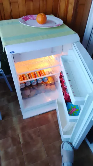 Nevera Pequeña ECRON Bajo-Encimera