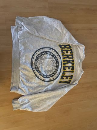 Sudadera Berkeley Gris Invierno