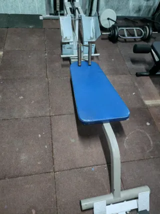 Máquina Remo Bajo Gironda