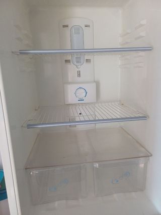 Nevera Taurus No Frost con diseño cebra