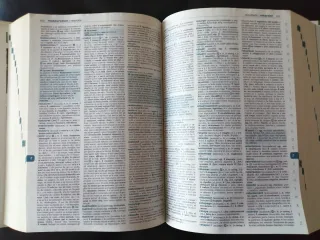 Il Boch. Dizionario francese-italiano, italiano...