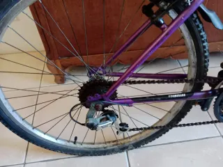Bicicletas 50€