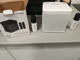 Micrófonos Karaoke Dual Inalámbricos