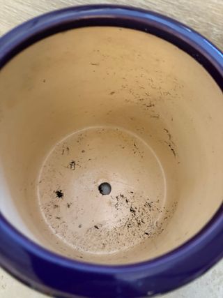 Vaso viola in ceramica