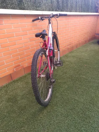 Bicicleta Boomerang  roja y plata