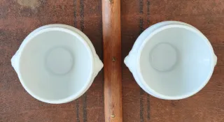 2 ciotole in porcellana bianche