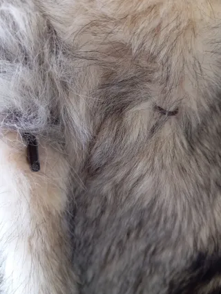 Abrigo piel zorro auténtico