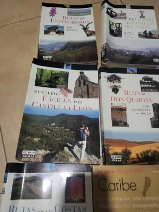 Lote 6 guías pais aguilar