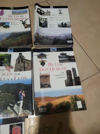 Lote 6 guías pais aguilar