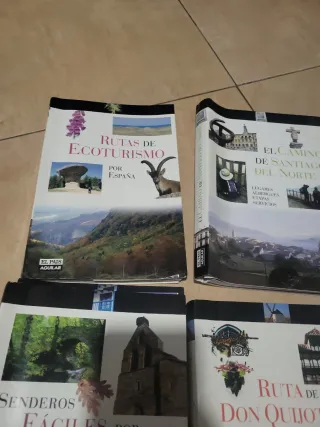 Lote 6 guías pais aguilar