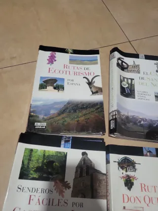 Lote 6 guías pais aguilar