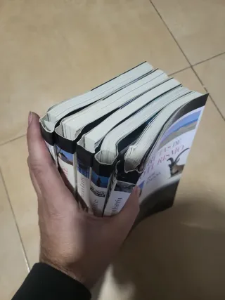 Lote 6 guías pais aguilar