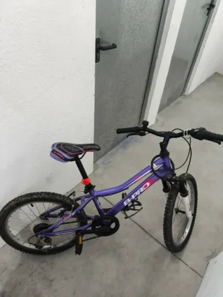 Bici infantil B-PRO 20 morada