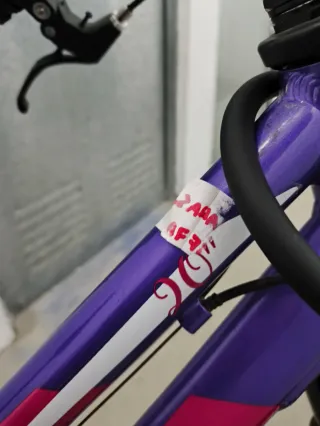 Bici infantil B-PRO 20 morada