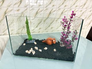 Pecera de cristal 20 litros con accesorios