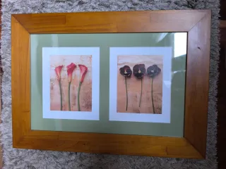 Set de 2 cuadros decorativos