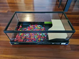 Terrario Tortuga Tortum 55x30x20cm