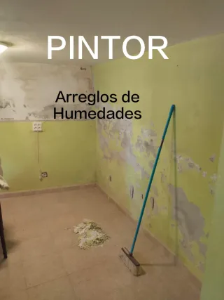Pintor profesional arreglos humedades