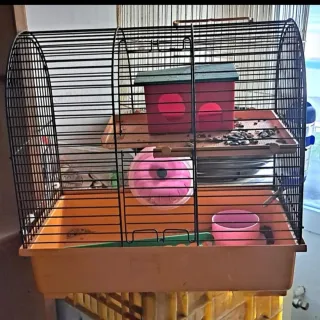 Jaula para hámster con accesorios