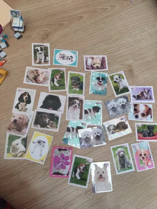 Playmobil Clínica Veterinaria.