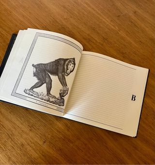 Agenda direcciones FRANCO MARÍA RICCI. Milán 1991