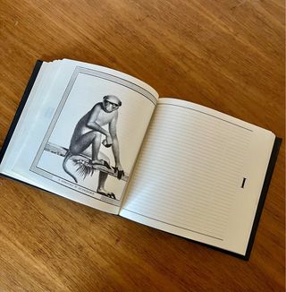 Agenda direcciones FRANCO MARÍA RICCI. Milán 1991