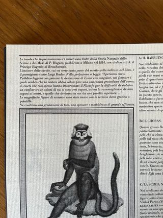 Agenda direcciones FRANCO MARÍA RICCI. Milán 1991