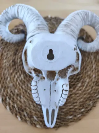 Adorno Cabeza Resina Nórdico