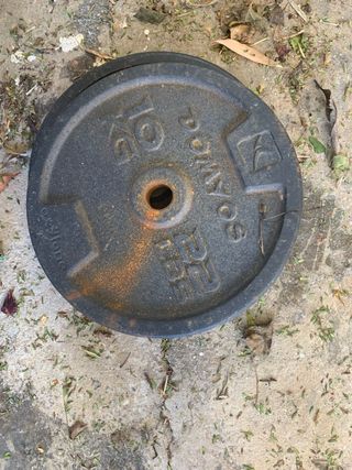 Discos de pesas 10 kg