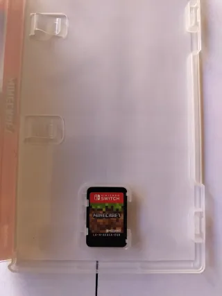 Minecraft Nintendo Switch