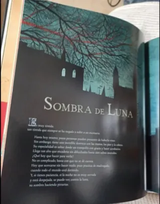 Álbum ilustrado El circo mágico