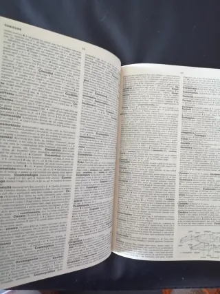 Il Nuovo Zingarelli: Vocabolario Della Lingua I...