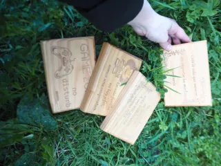 Placa Decorativa Game Zone No Disturb