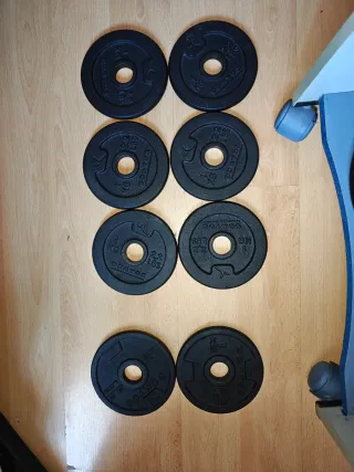 Conjunto de discos de pesas y barras