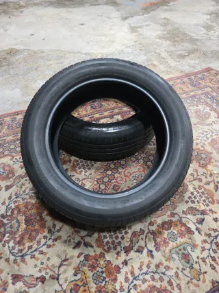 Neumático 225/55/19 99V