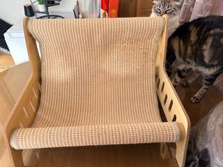 Cama y rascador para gatos 2 en 1