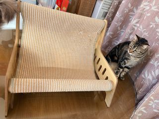 Cama y rascador para gatos 2 en 1