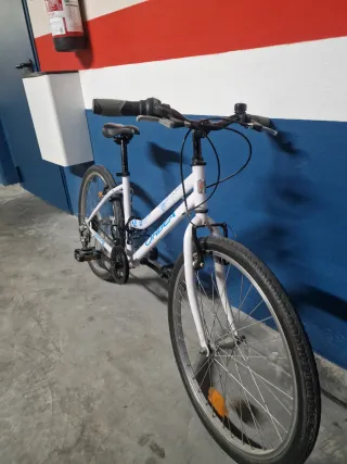 Bicicleta Orbea Rin 24