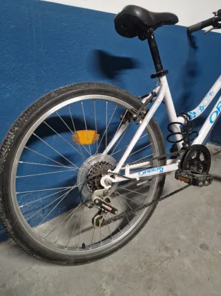 Bicicleta Orbea Rin 24